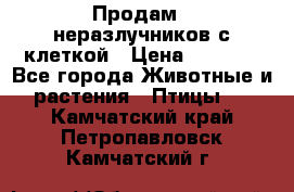 Продам 2 неразлучников с клеткой › Цена ­ 2 500 - Все города Животные и растения » Птицы   . Камчатский край,Петропавловск-Камчатский г.